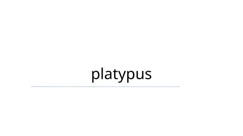 platypus