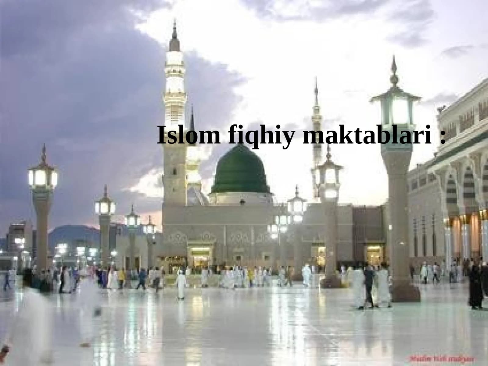 Islom fiqhiy maktablari