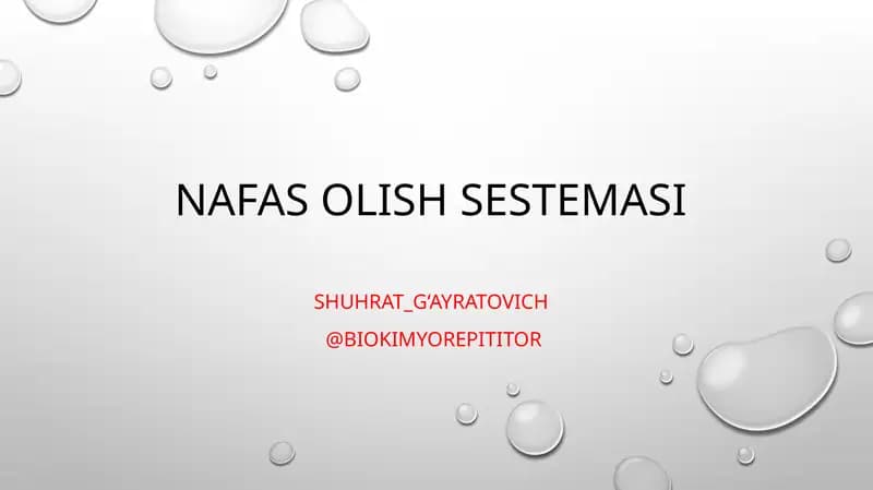Nafas olish sestemasi