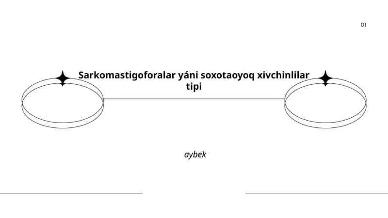 Sarkomastigoforalar yáni soxotaoyoq xivchinlilar tipi