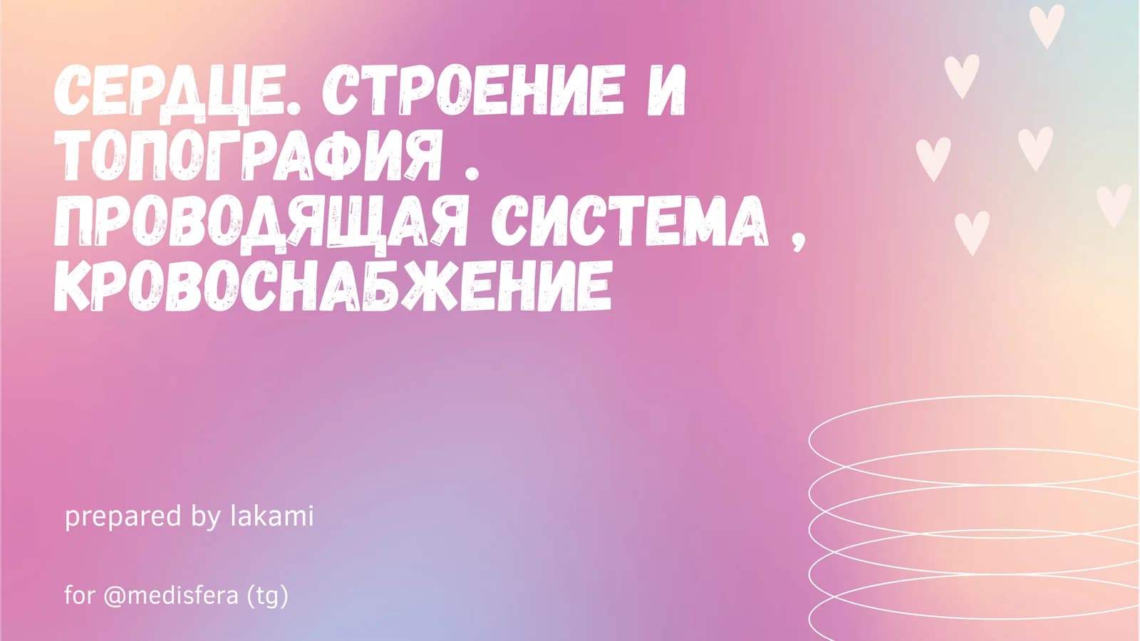 Сердце. строение и топография