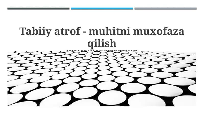 Tabiiy atrof - muhitni muxofaza qilish