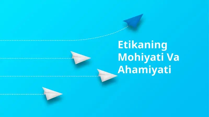 Axloqiy tamoyillar: Etika xulq-atvor va qaror qabul qilishda rahbarlik qiluvchi axloqiy tamoyillarni o'rnatish