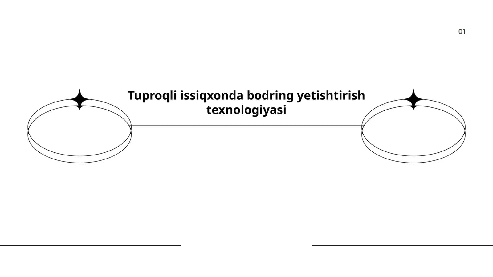 Tuproqli issiqxonda bodring yetishtirish texnologiyasi