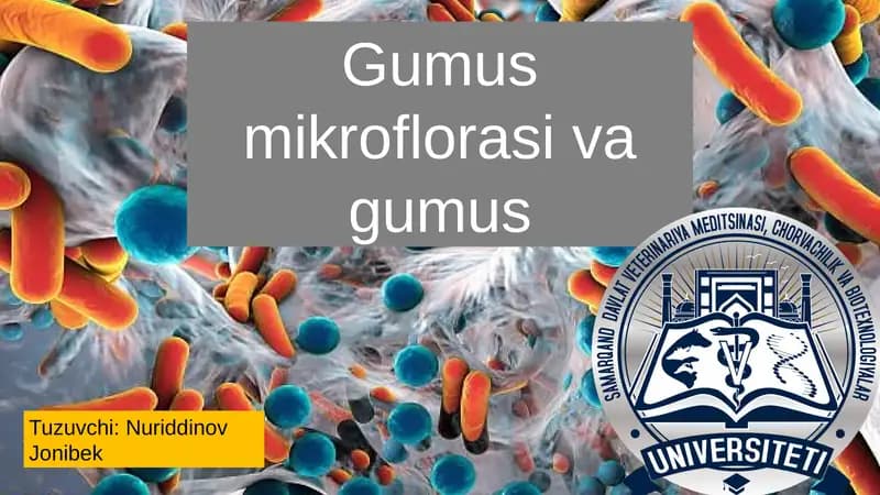 Gumus Mikroflorasi va Gumus: Tuproq Unumdorligining Asosiy Omili