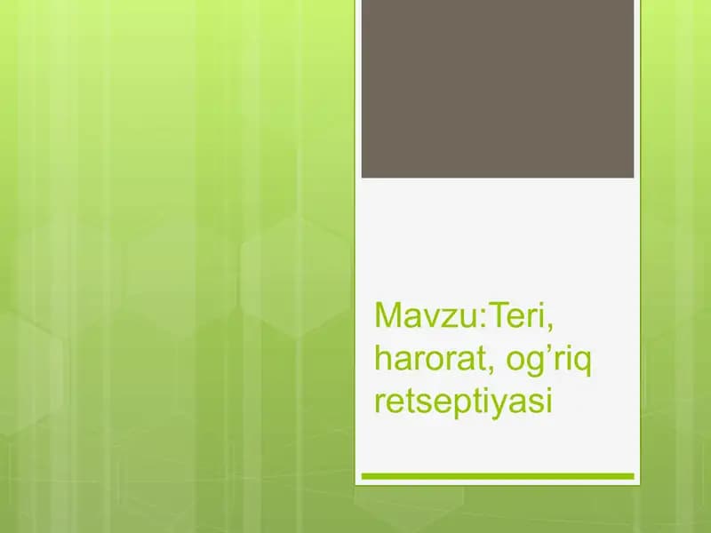 Teri, harorat va oʻgʻriq retseptsiyasi haqida perezentatsiya.
