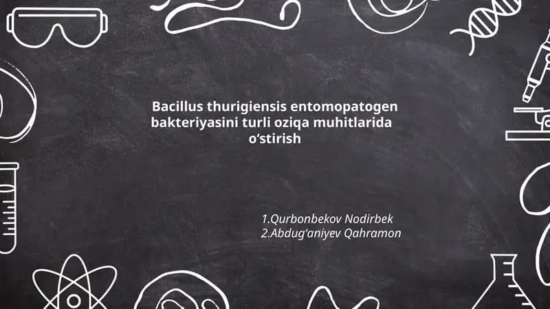 Bacillus thurigiensis entomopatogen bakteriyasini turli oziqa muhitlarida o‘stirish