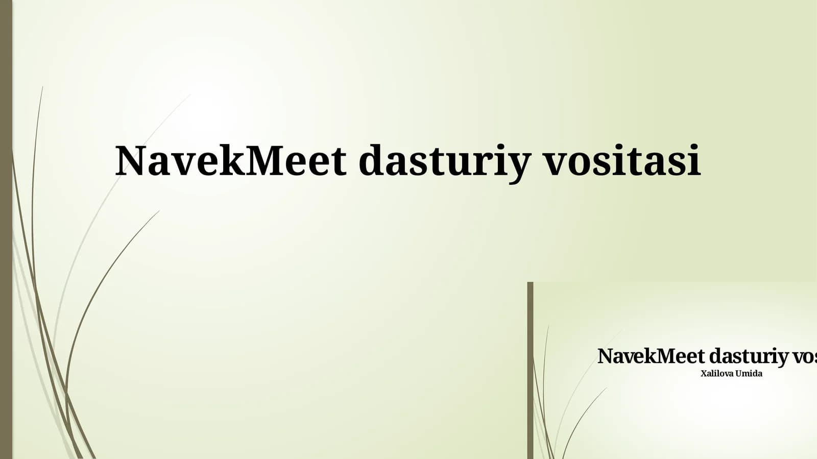 NavekMeet dasturiy vositasi