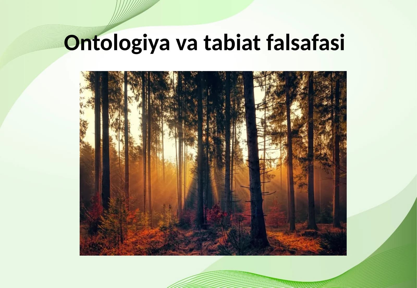 Ontologiya va tabiat falsafasi