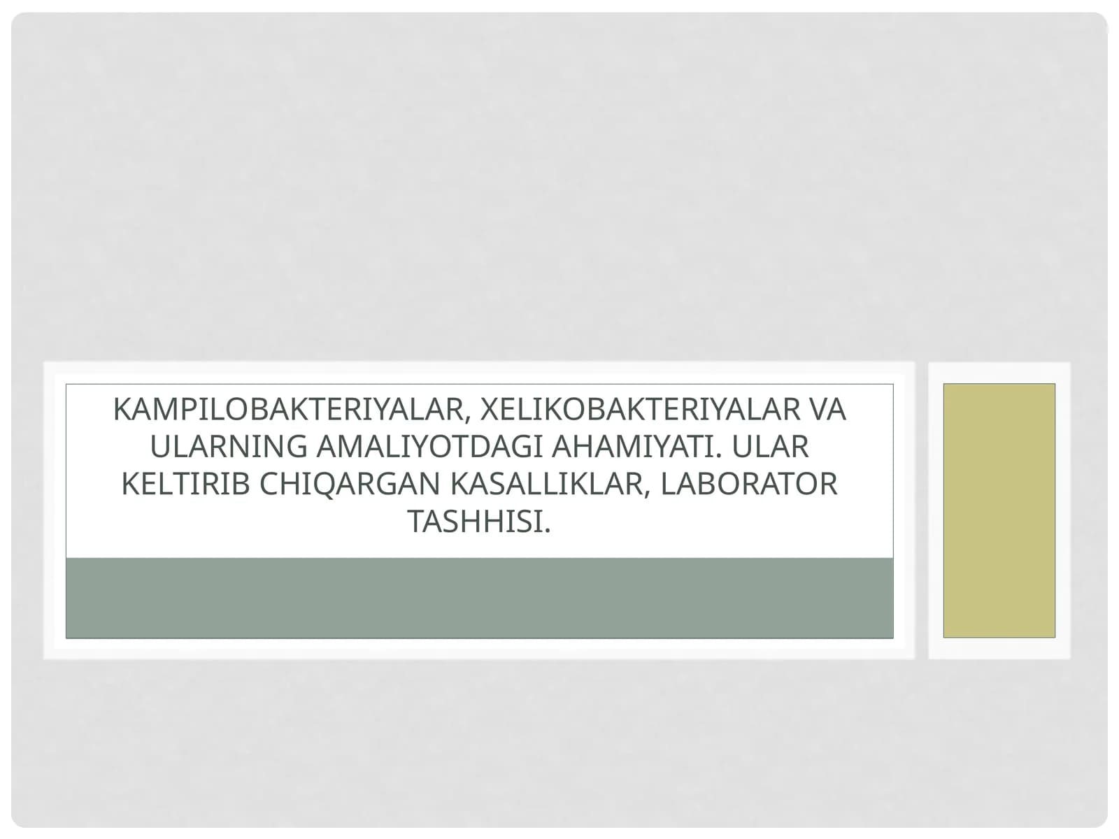 Kampilobakteriyalar, xelikobakteriyalar va ularning amaliyotdagi ahamiyati