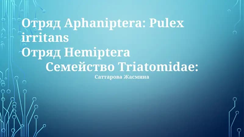 Aphaniptera: Pulex irritans