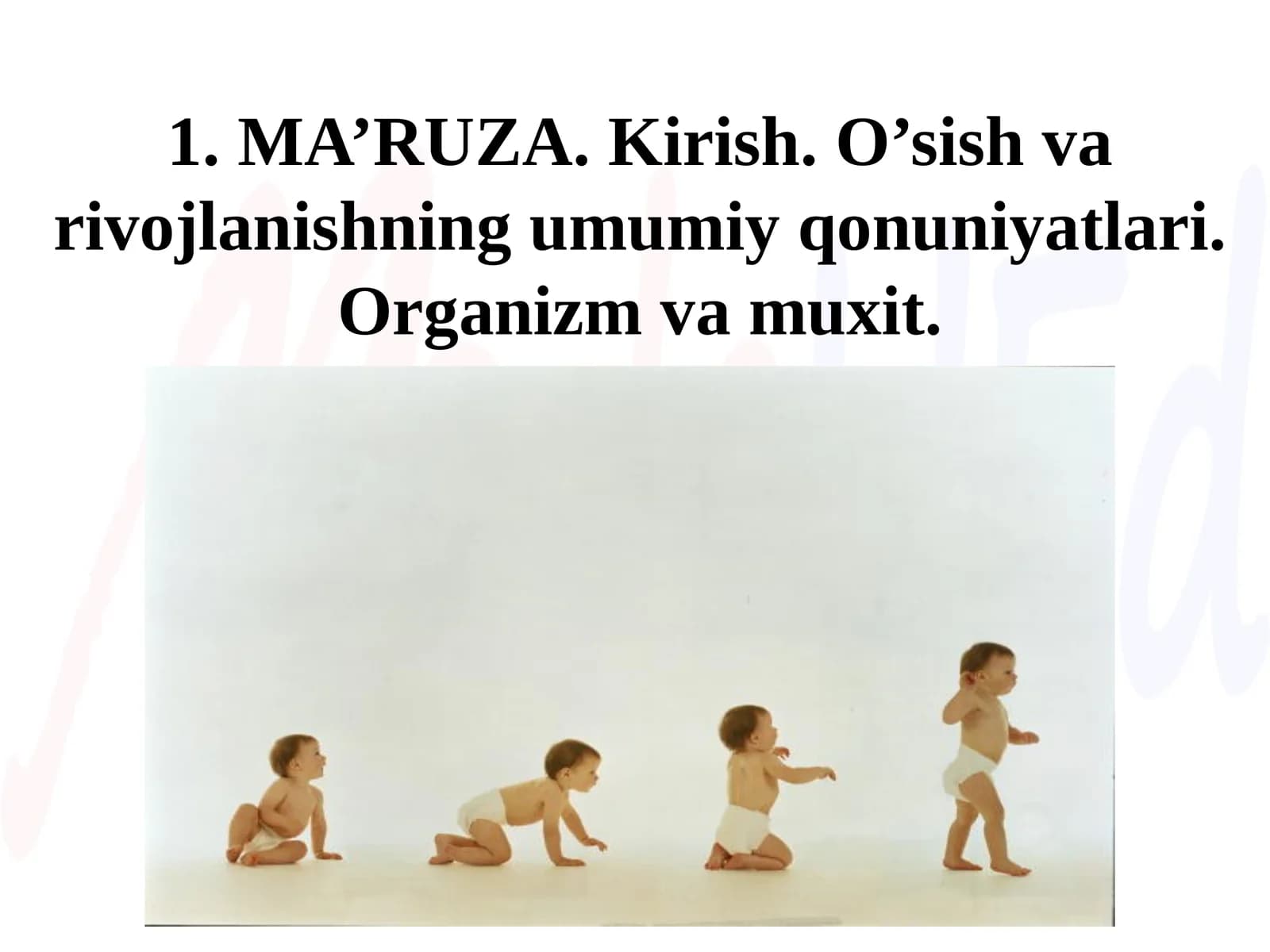 Bolalarning yosh fiziologiyasi va gigienasi