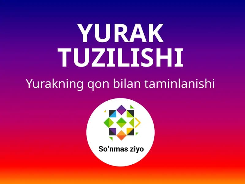 Yurak tuzilishi