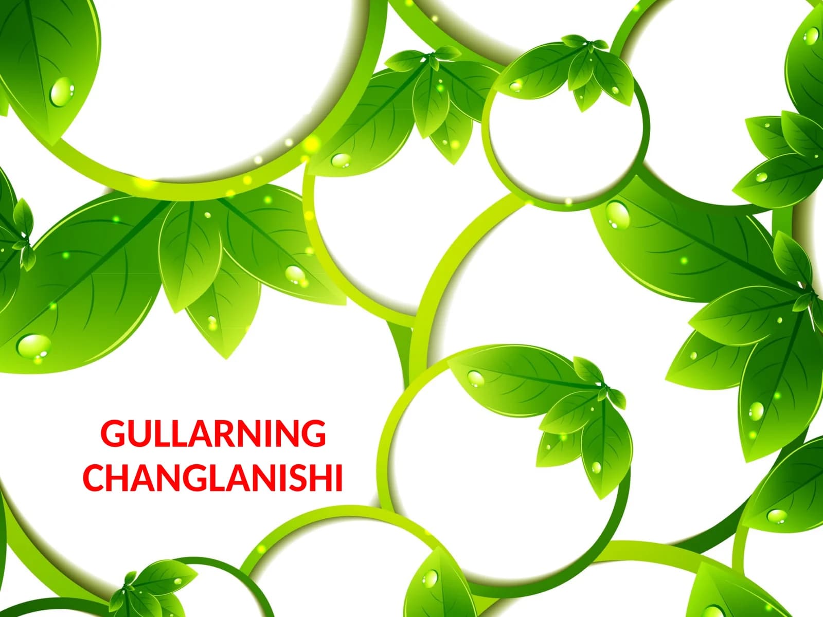 GULLARNING CHANGLANISHI