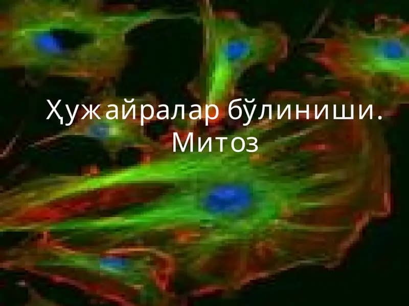 Митоз