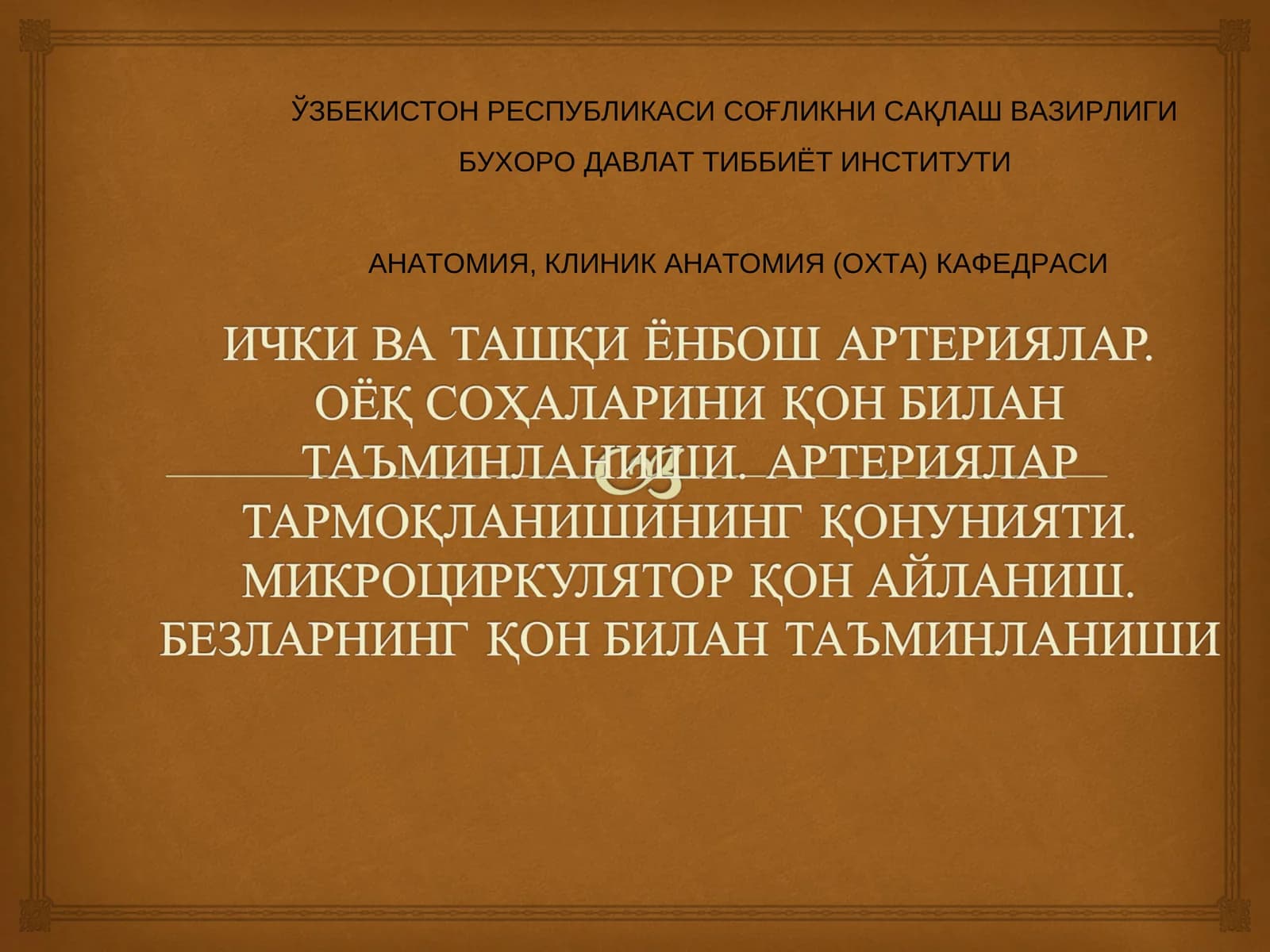 Ички ёнбош артерияси, Ташки ёнбош артерияси. Сон артерияси, Сон артериясининг тармоклари, Дум артериялари, тизза ости артерияси