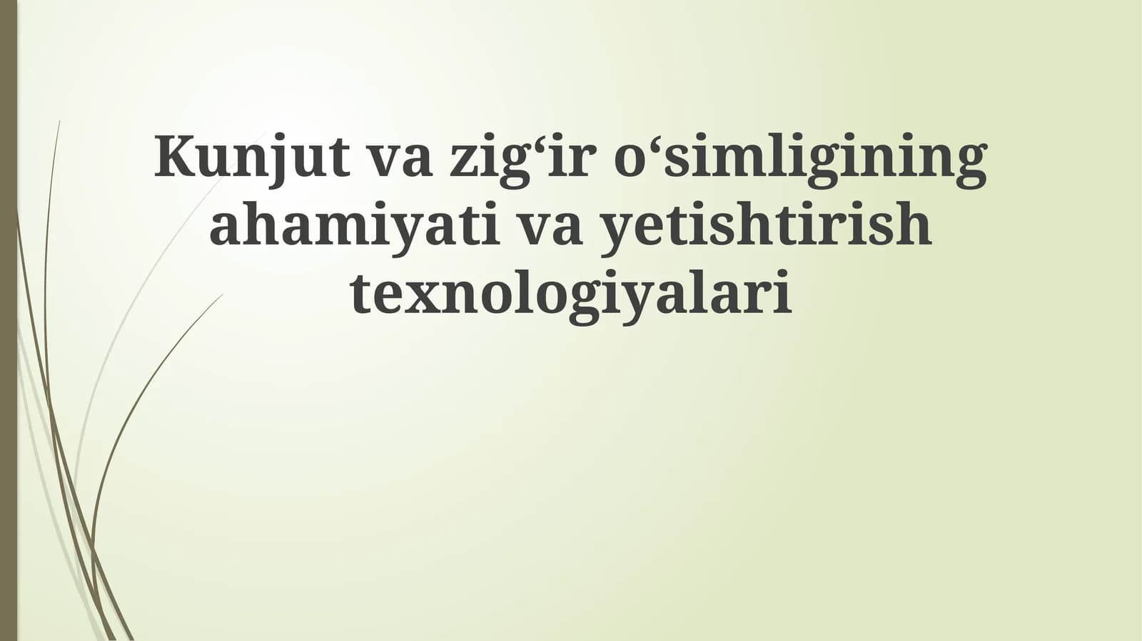 Sesame va zig'irning ahamiyati va iqtisodiy roli
