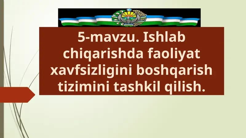 Ishlabchiqarish dafaoliyat xavfsizligi ni boshqarish tizimini tashkil qilish