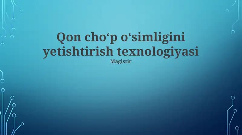 Qon choʻp oʻsimligini yetishtirish texnologiyasi