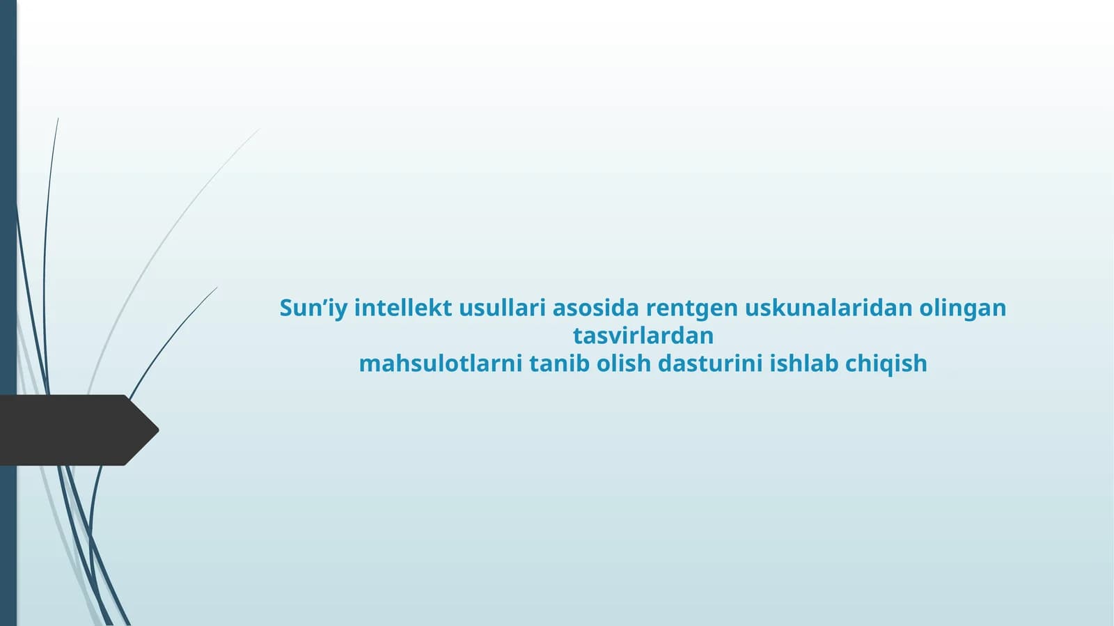 Sun’iy intellekt usullari asosida rentgen uskunalaridan olingan tasvirlardan mahsulotlarni tanib olish dasturini ishlab chiqish
