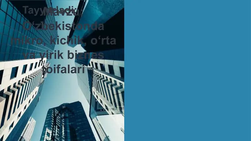 O‘zbekistonda mikro, kichik, o‘rta va yirik biznes toifalari