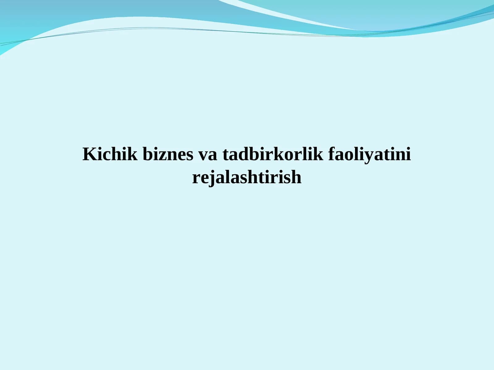 Kichik biznes va tadbirkorlik faoliyatini rejalashtirish