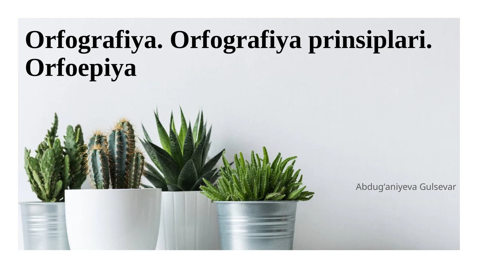 Orfografiya. Orfografiya prinsiplari. Orfoepiya