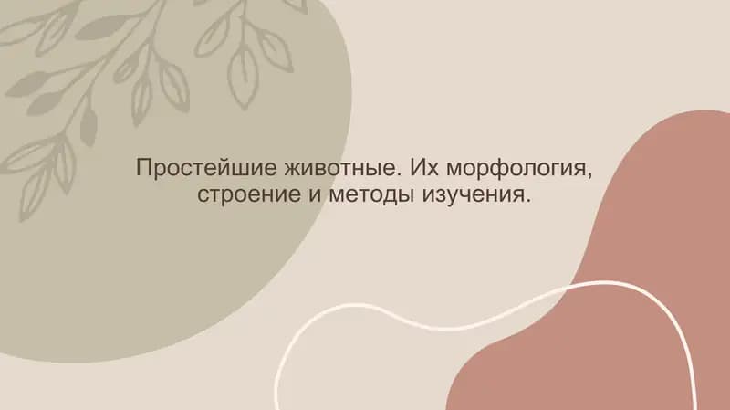 Простейшие животные. Их морфология, строение и методы изучения.