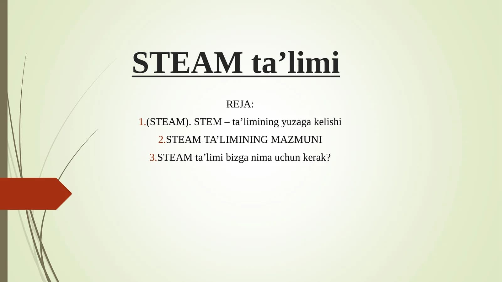 STEAM ta’limi