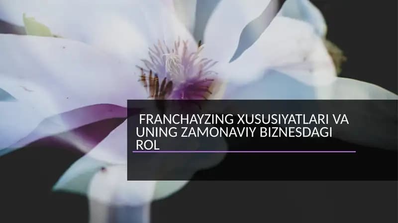 Franchayzing xususiyatlari va uning zamonaviy biznesdagi roli