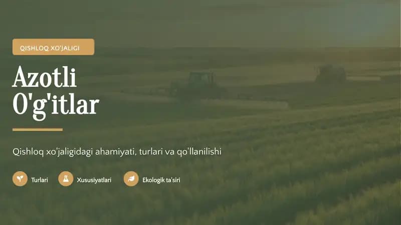 Azotli O'g'itlar