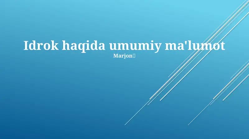 Idrok haqida umumiy ma'lumot