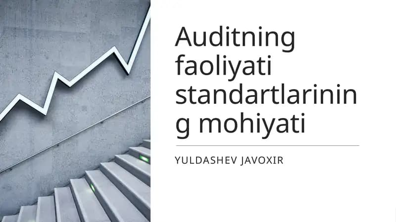 Auditning faoliyati standartlarining mohiyati