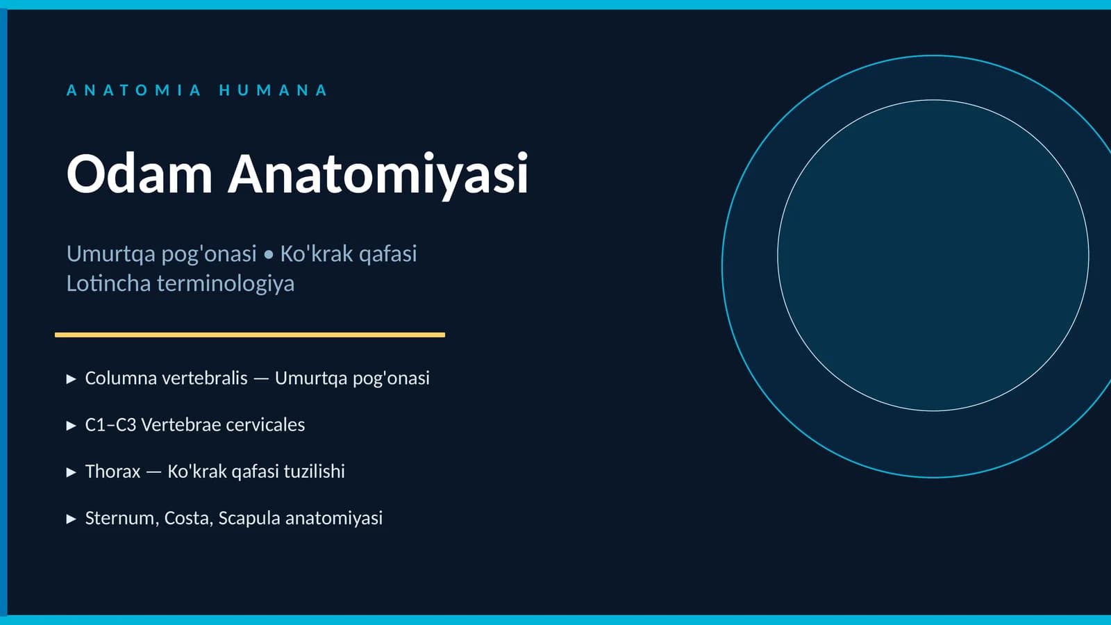 Umurtqa pog'onasi va Ko'krak qafasi Lotincha terminologiya