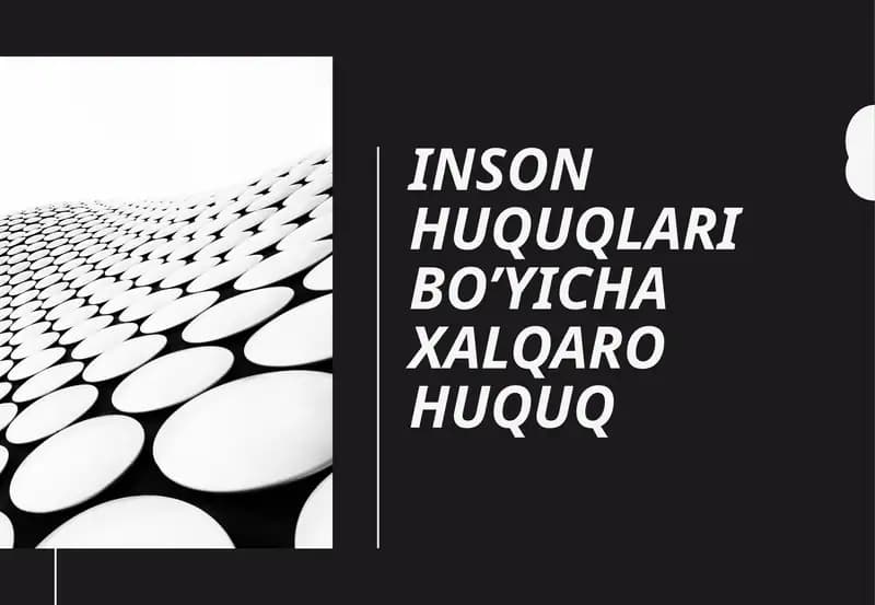 Inson huquqlari bo'yicha xalqaro huquq