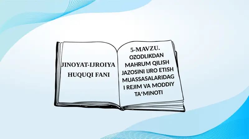 Ozodlikdan mahrum qilish jazosini ijro etish muassasalaridagi rejim va moddiy ta‘minoti