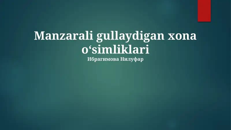 Manzarali gullaydigan xona o‘simliklari