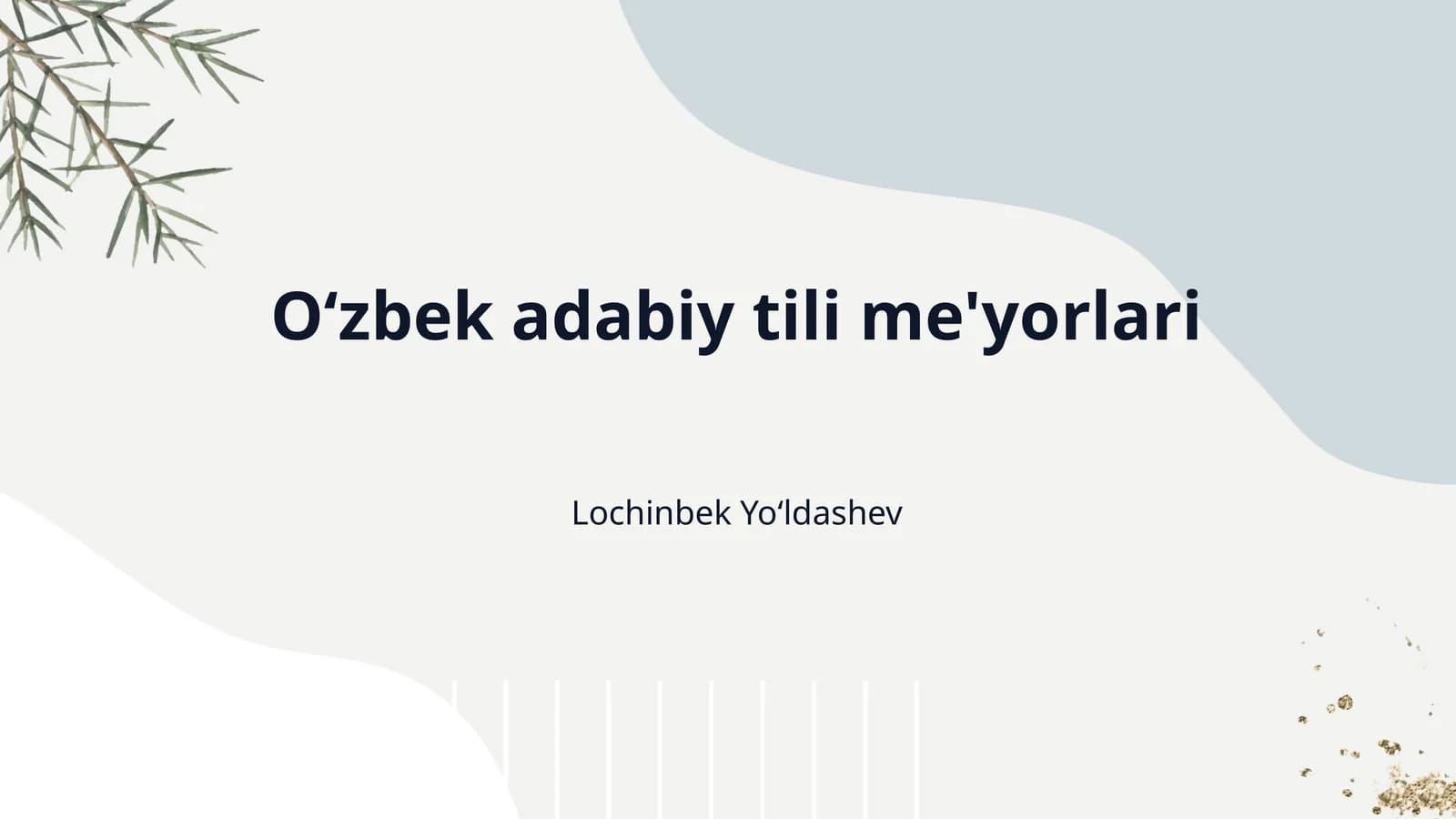 O‘zbek adabiy tili me'yorlari