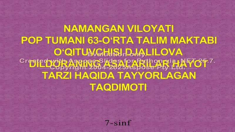 Namangan viloyati Pop tumani 63-o‘rta talim maktabi o‘qituvchisi Djalilova Dildoraning asalarilar hayot tarzi haqida tayyorlagan taqdimoti