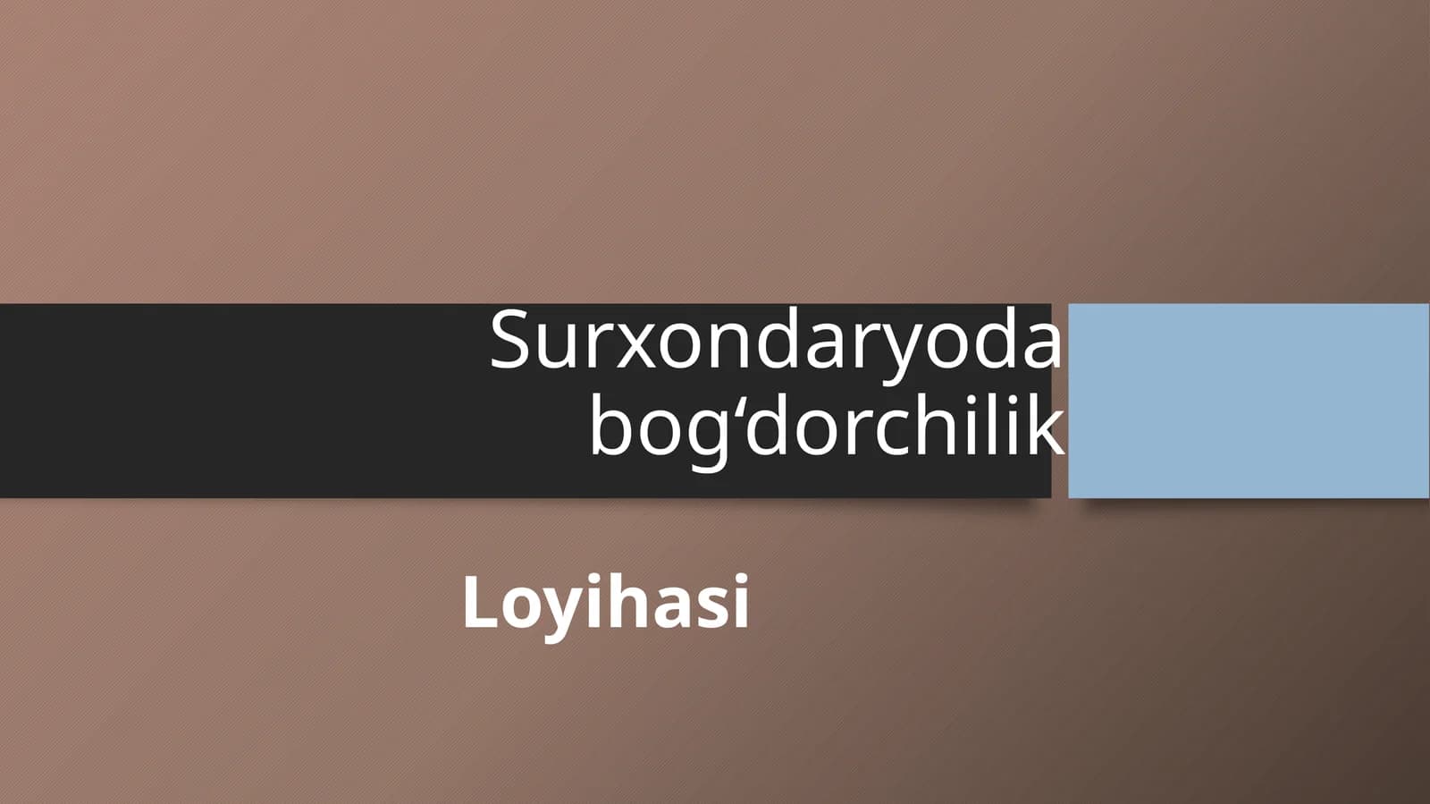 (100 millionlik loyiha ishi)  Surxondaryoda bog‘dorchilik Loyihasi
