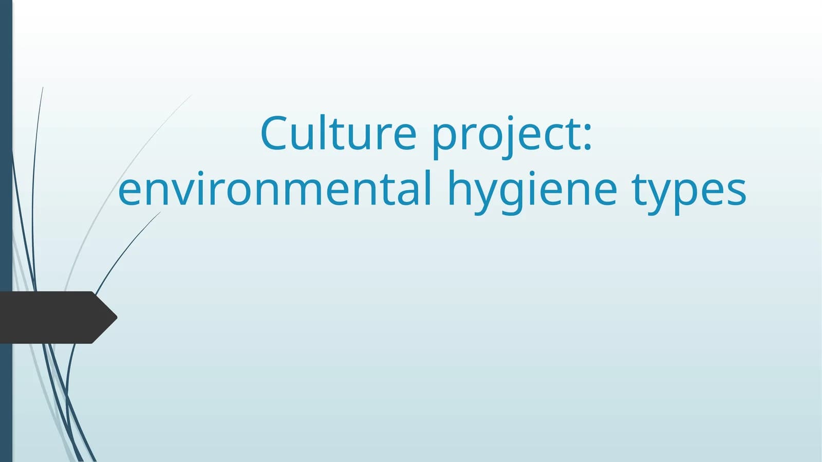 Culture project environmental hygiene types