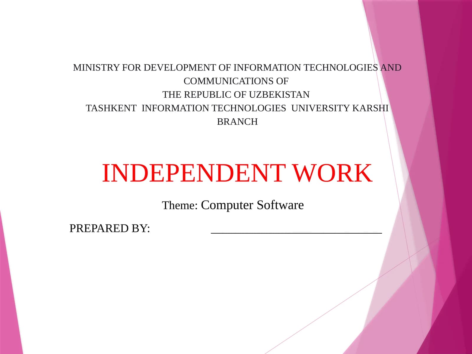 Computer Software