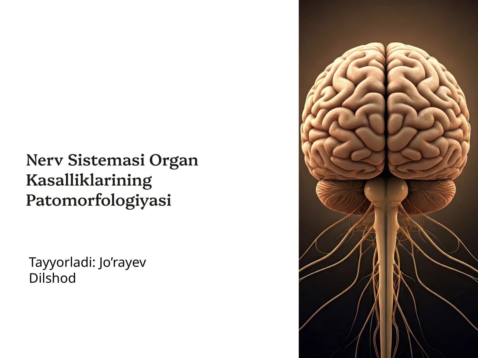 Nerv Sistemasi Organ Kasalliklarining Patomorfologiyasi