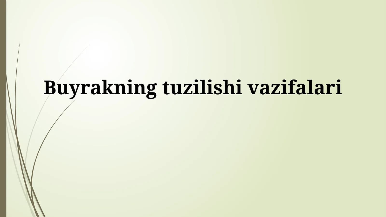 Buyrakning tuzilishi va vazifalari