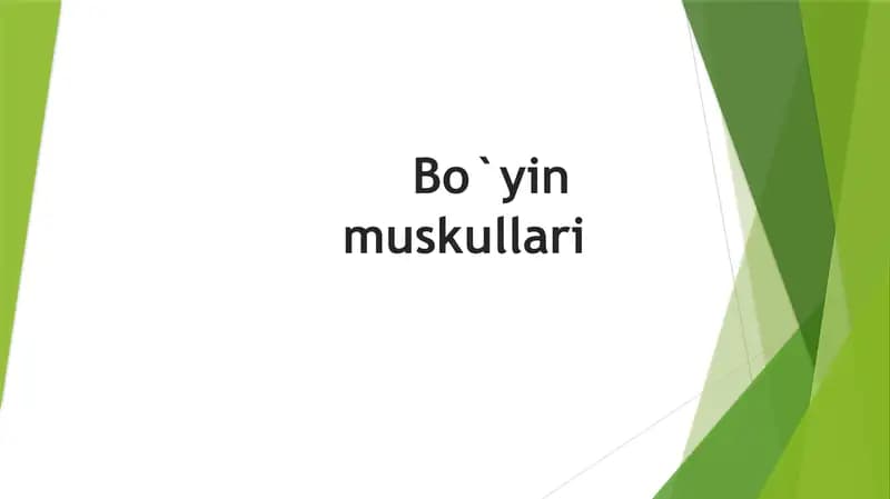 Bo`yin muskillari
