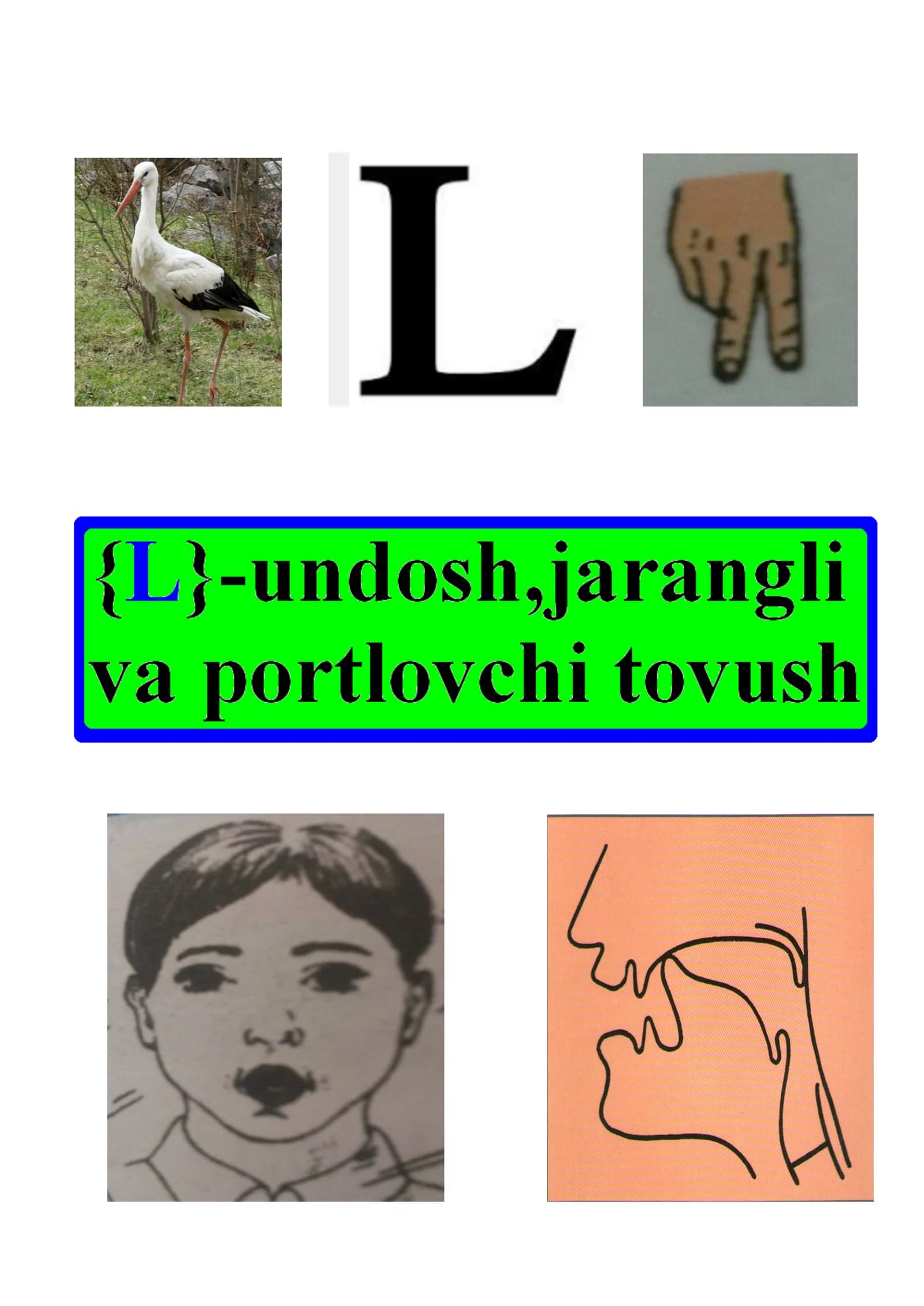 «L» harflari