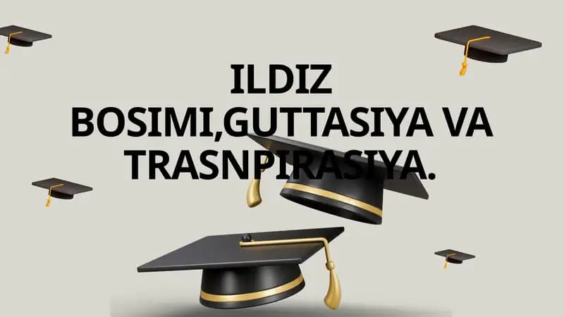 Ildiz Bosimi