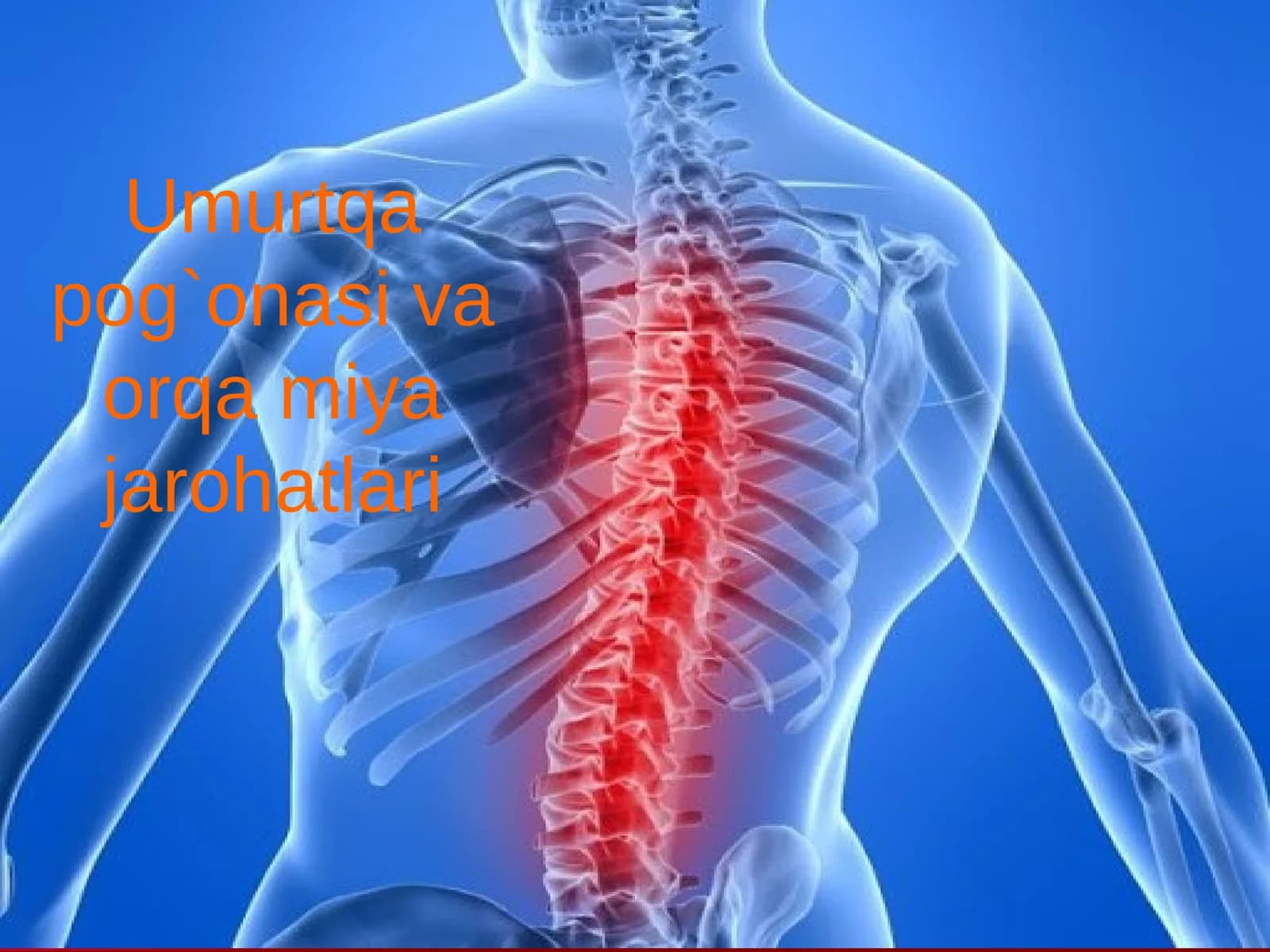 Umurtqa pog`onasi va orqa miya jarohatlari