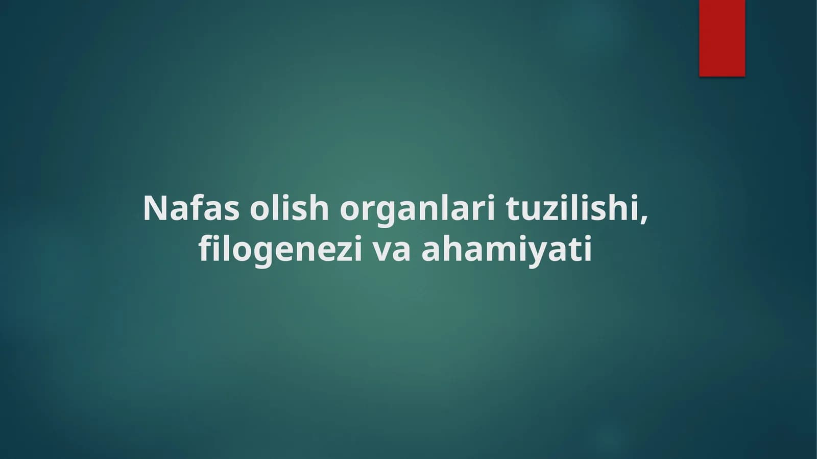 Nafas olish organlari tuzilishi, filogenezi va ahamiyati