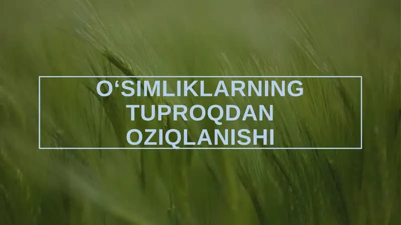 Oʻsimliklarning tuproqdan oziqlanishi